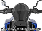 ウインドスクリーン 「MARATHON」 R1300R カスタム パーツ